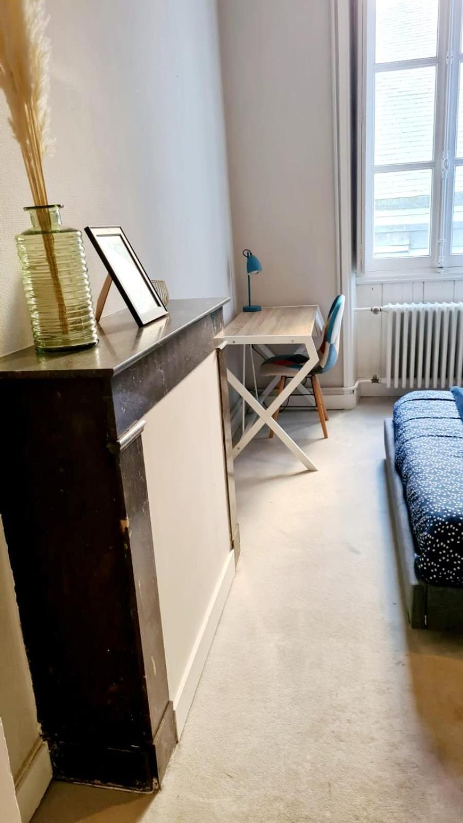 Appartement L'Haussmannien - Hyper Centre - Bords De L'Erdre à Nantes Extérieur photo