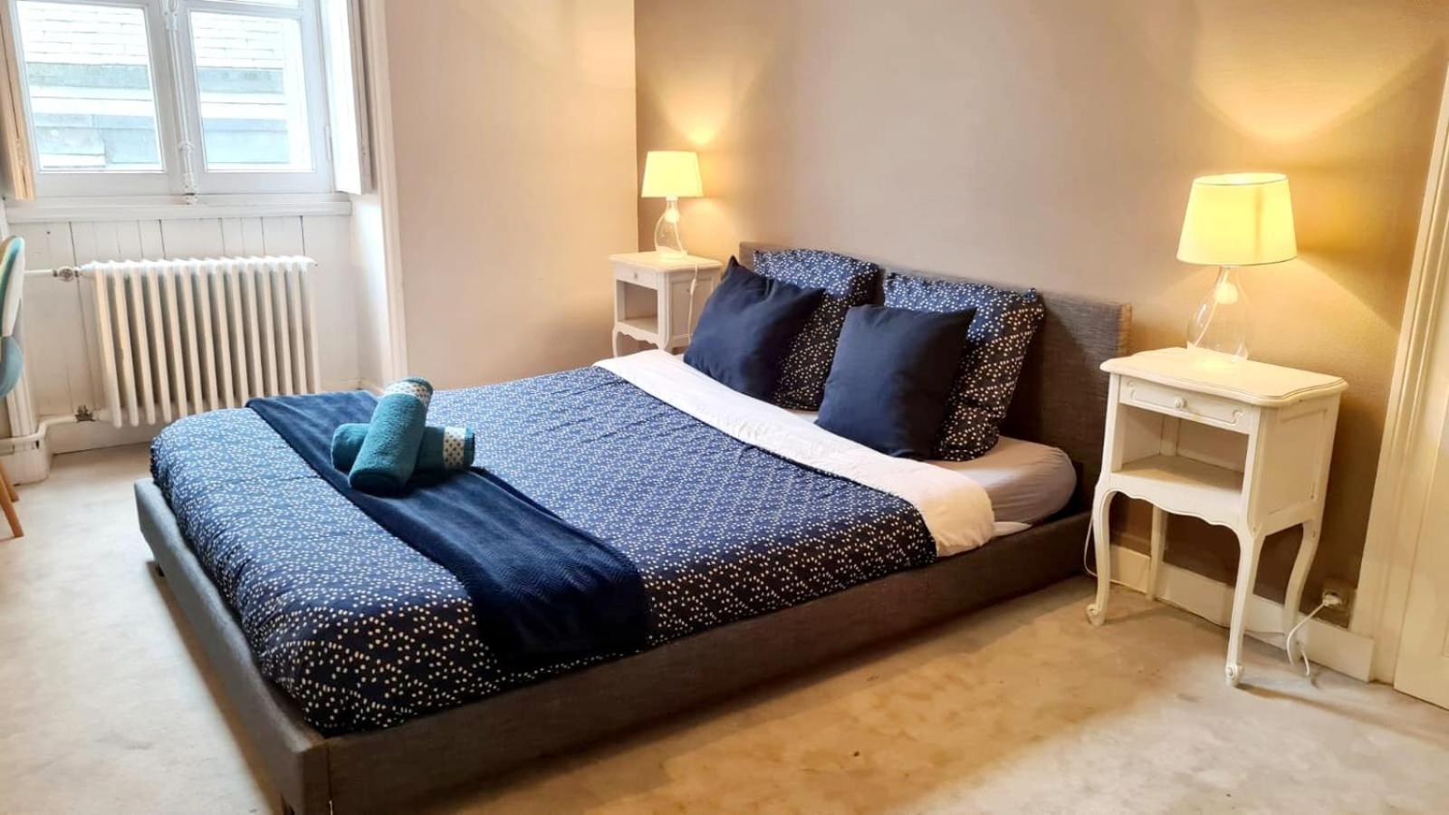 Appartement L'Haussmannien - Hyper Centre - Bords De L'Erdre à Nantes Extérieur photo